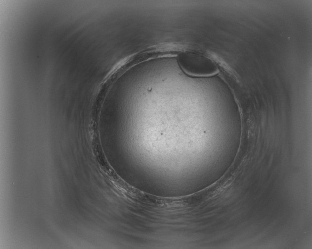 X0000067521213200604211808