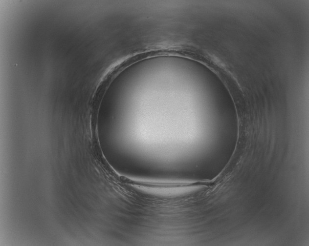 X0000067521214200604211808