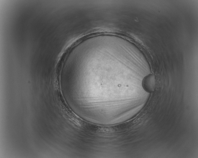 X0000067521215200604211808