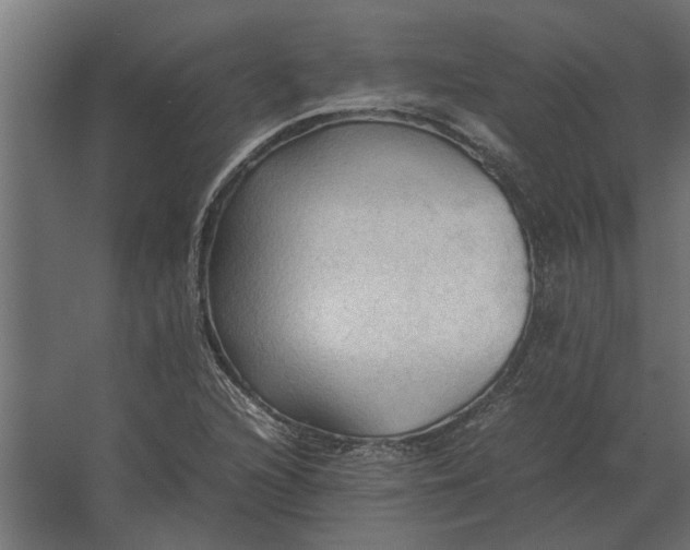 X0000067521216200604211808