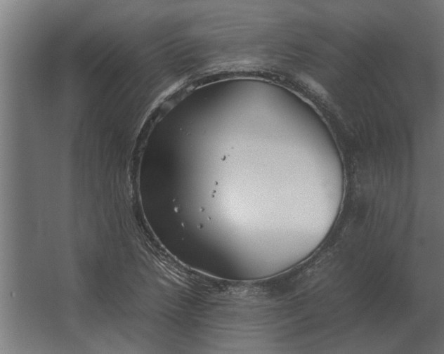 X0000067521218200604211808