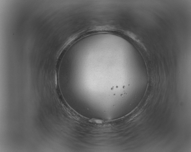 X0000067521221200604211808