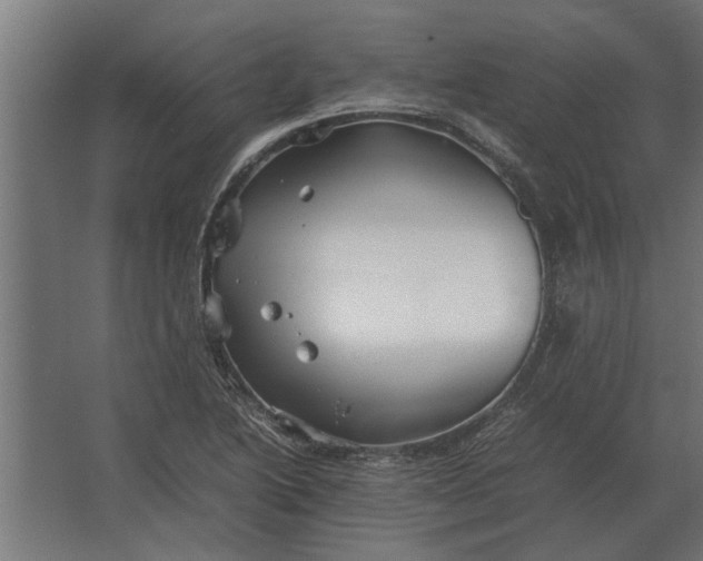 X0000067521222200604211808