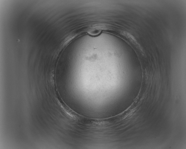 X0000067521225200604211808