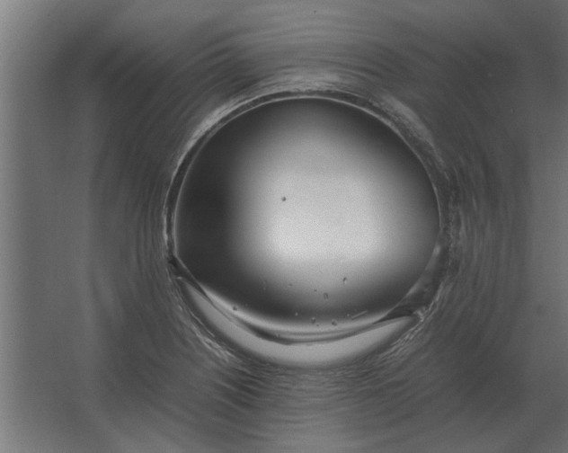 X0000067521226200604211808