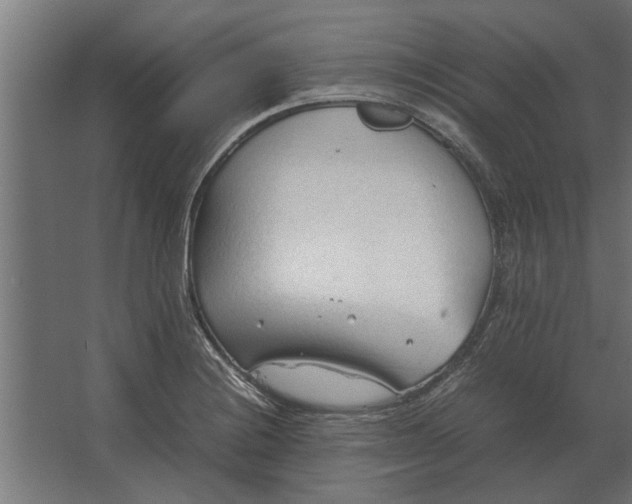 X0000067521228200604211808