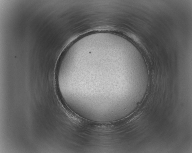 X0000067521229200604211808