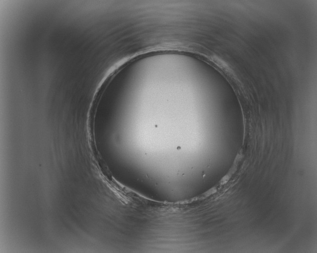 X0000067521230200604211808