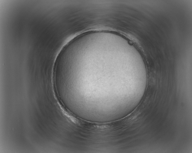 X0000067521231200604211808