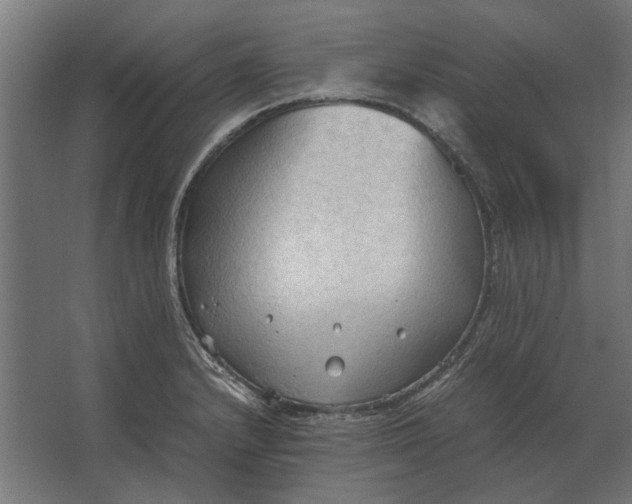 X0000067521232200604211808