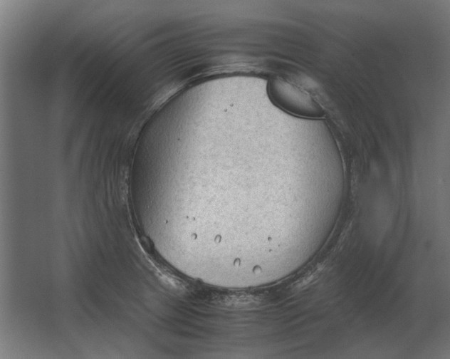 X0000067521233200604211808