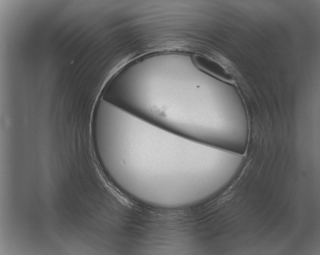 X0000067521234200604211808