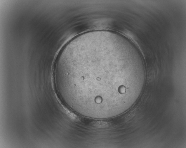 X0000067521235200604211808