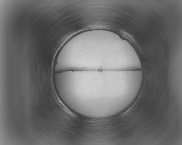 X0000067521236200604211808