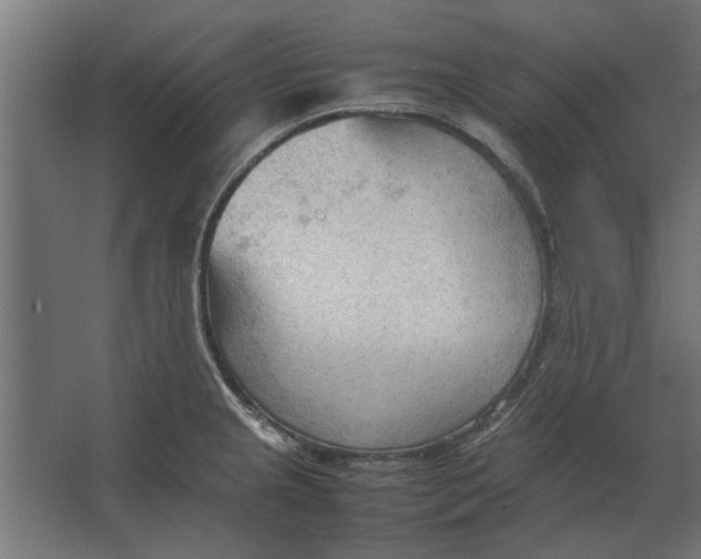 X0000067521237200604211808