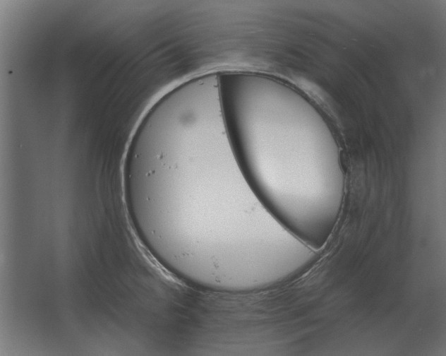 X0000067521238200604211808