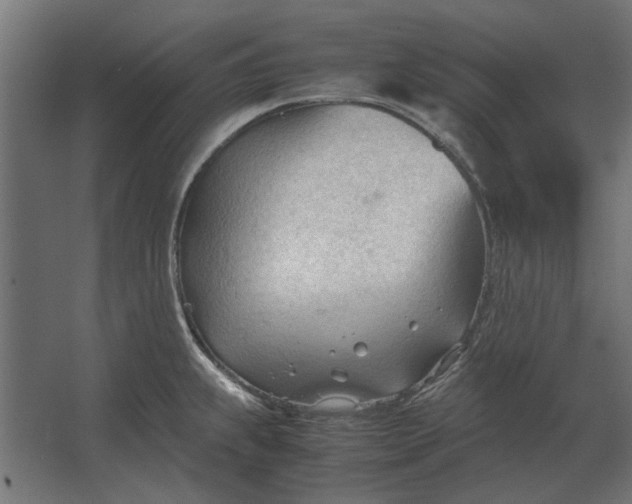 X0000067521239200604211808