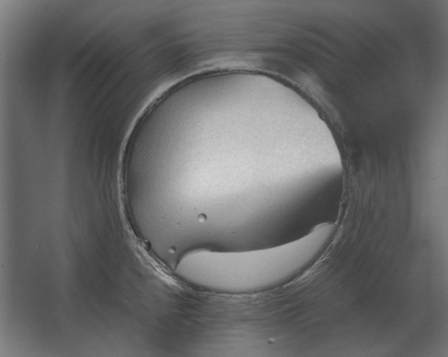 X0000067521240200604211808