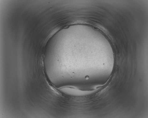 X0000067521241200604211808