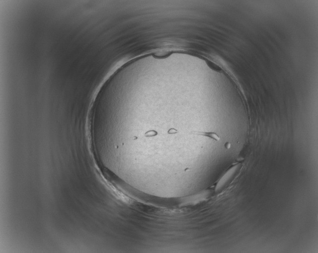 X0000067521243200604211808