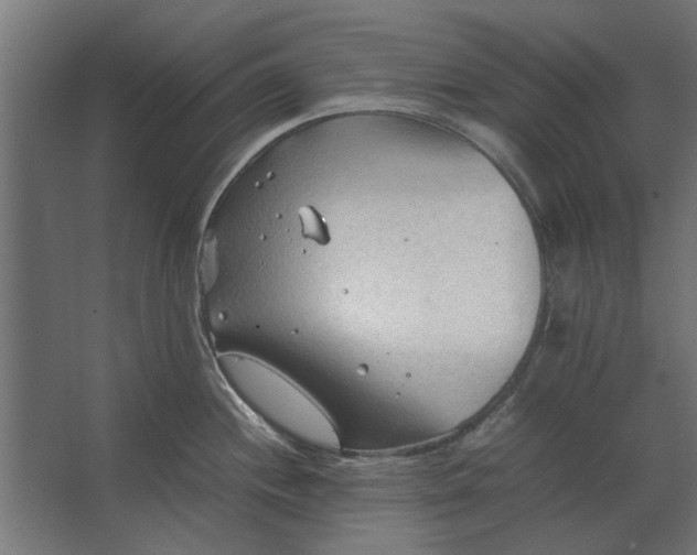 X0000067521244200604211808