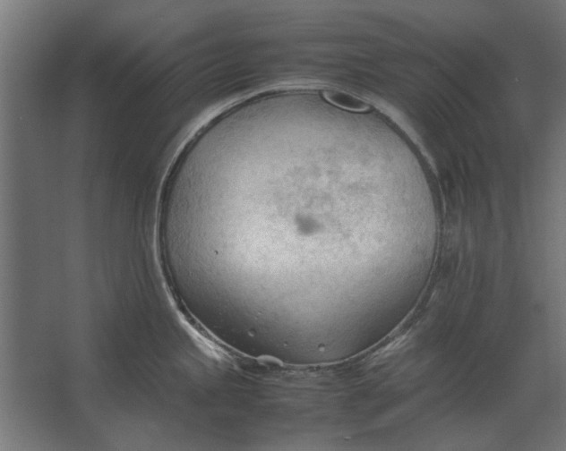 X0000067521245200604211808