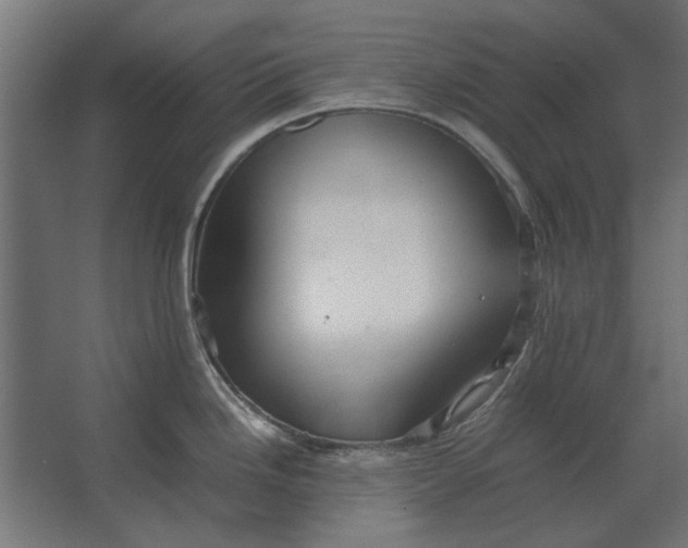 X0000067521246200604211809