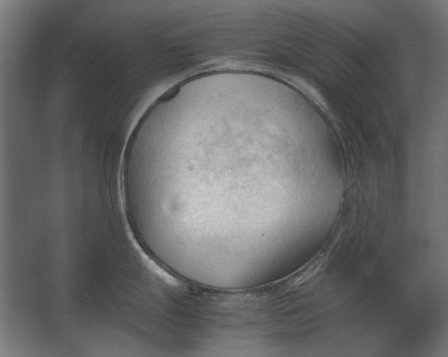 X0000067521247200604211809