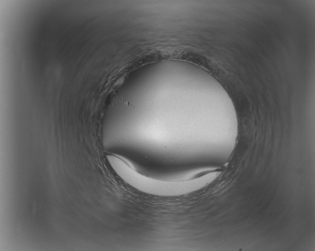 X0000067521249200604211808