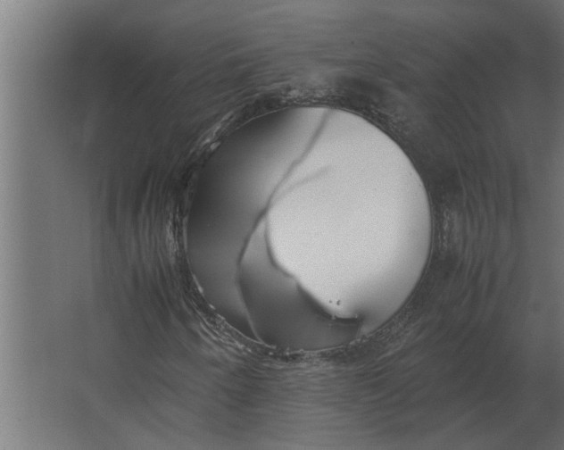 X0000067521250200604211808