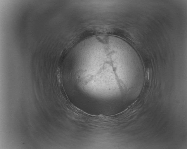 X0000067521251200604211808