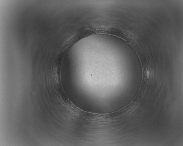 X0000067521252200604211808