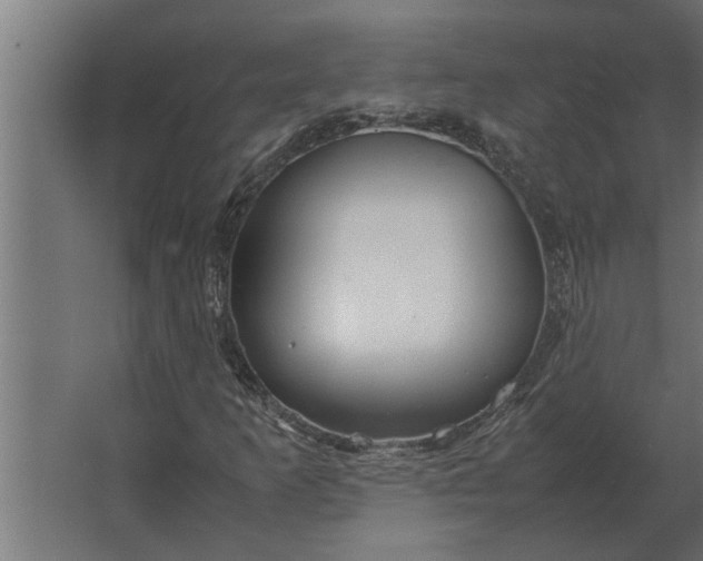 X0000067521253200604211808