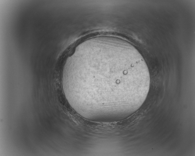 X0000067521255200604211808