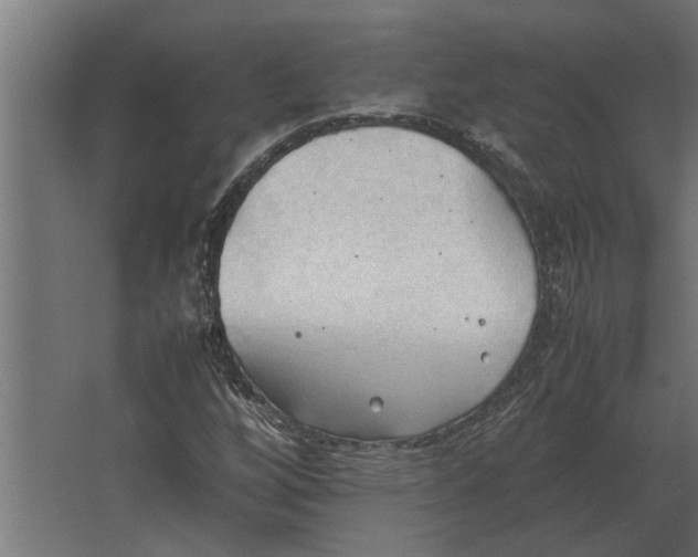 X0000067521256200604211808