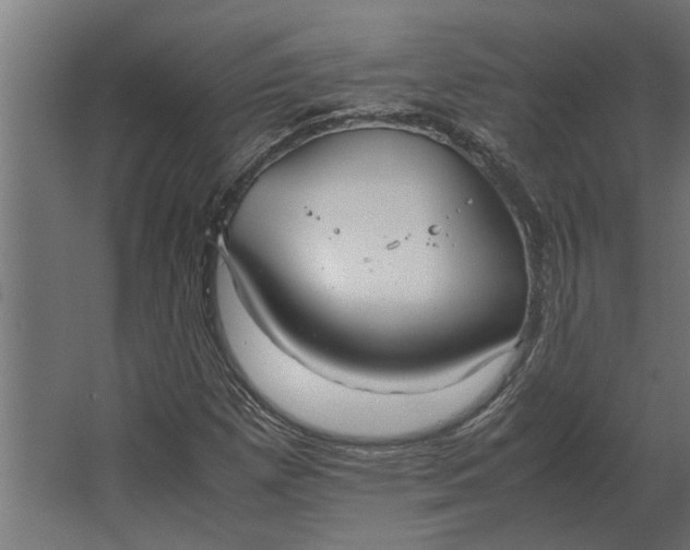 X0000067521257200604211808