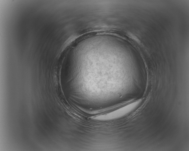 X0000067521259200604211808