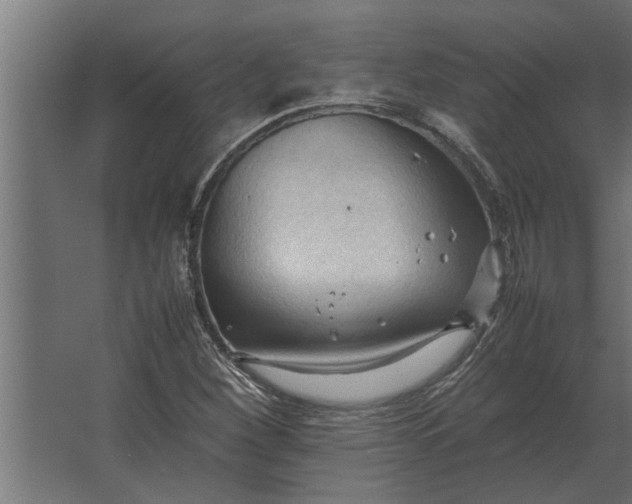 X0000067521260200604211808