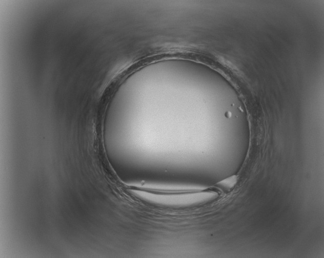 X0000067521261200604211808