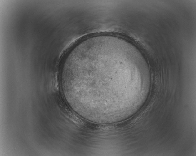 X0000067521262200604211808