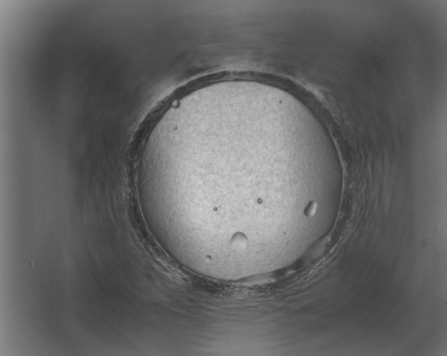 X0000067521263200604211807