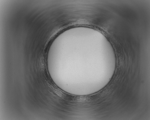 X0000067521266200604211807