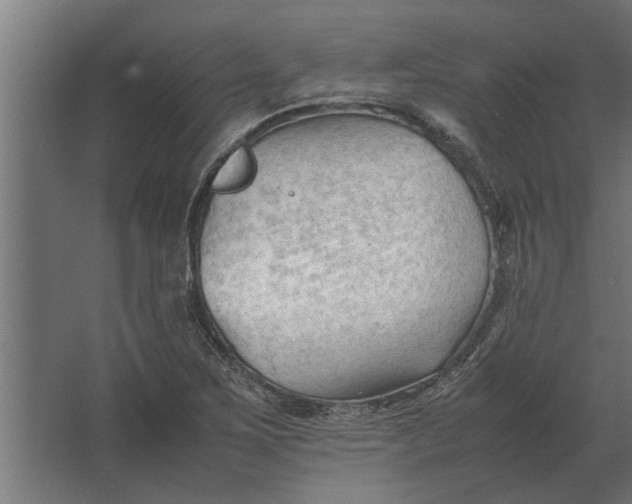 X0000067521267200604211807