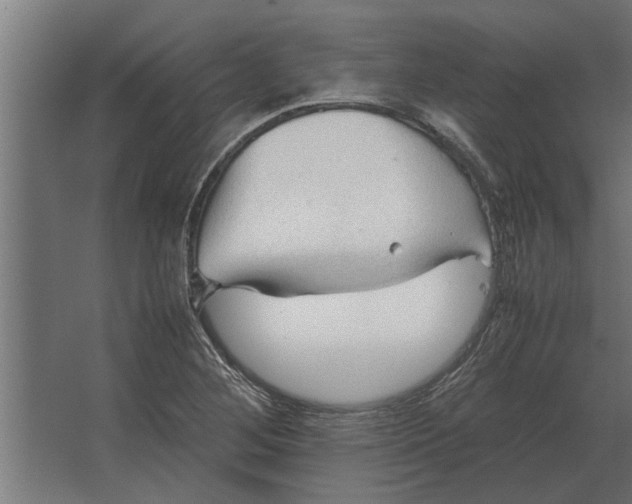 X0000067521268200604211807