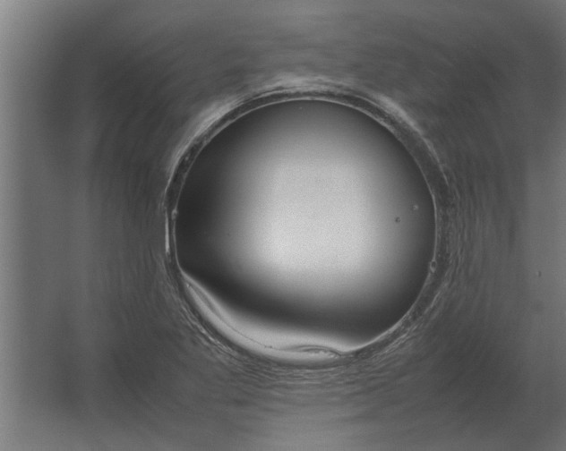 X0000067521269200604211807