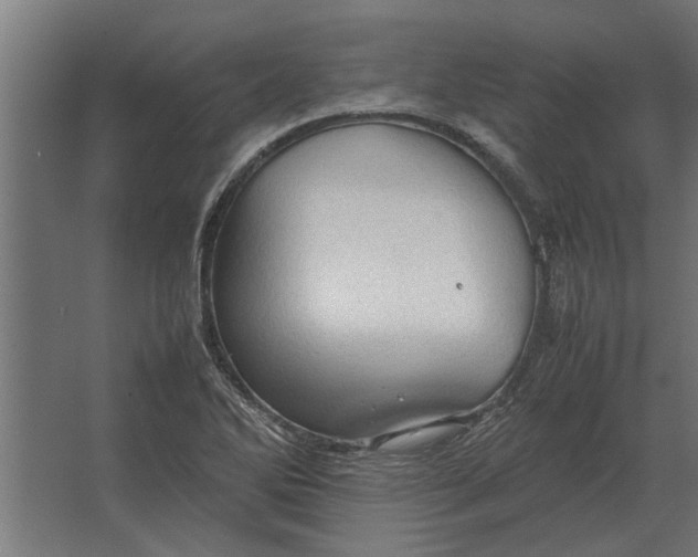 X0000067521270200604211807