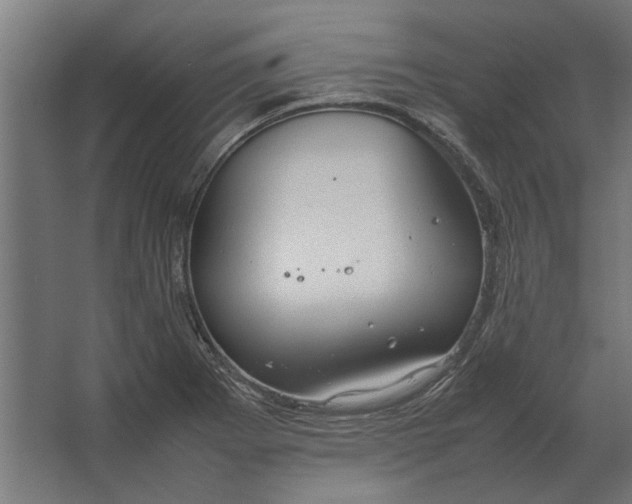 X0000067521273200604211807