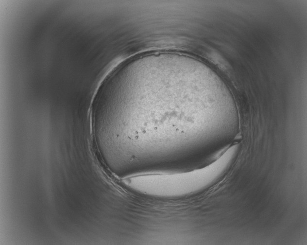 X0000067521275200604211807