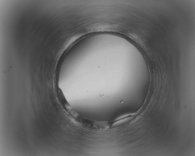 X0000067521277200604211807