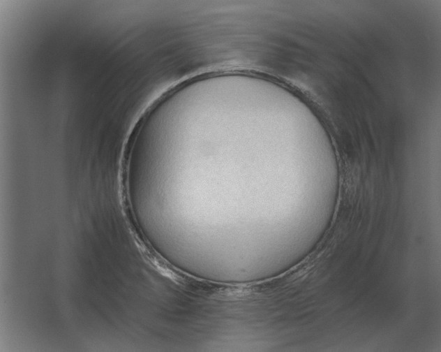 X0000067521278200604211807